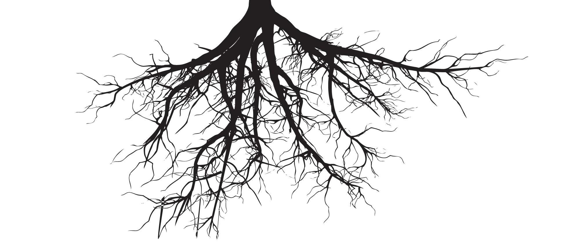 Free tree, Tree Trunk, tree Of Life, Stencil, simple